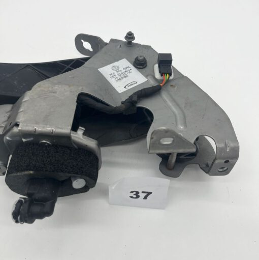 p37-3.jpg