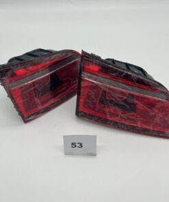 p53-1.jpg