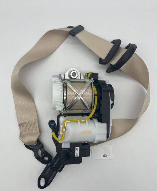 p85-1.jpg
